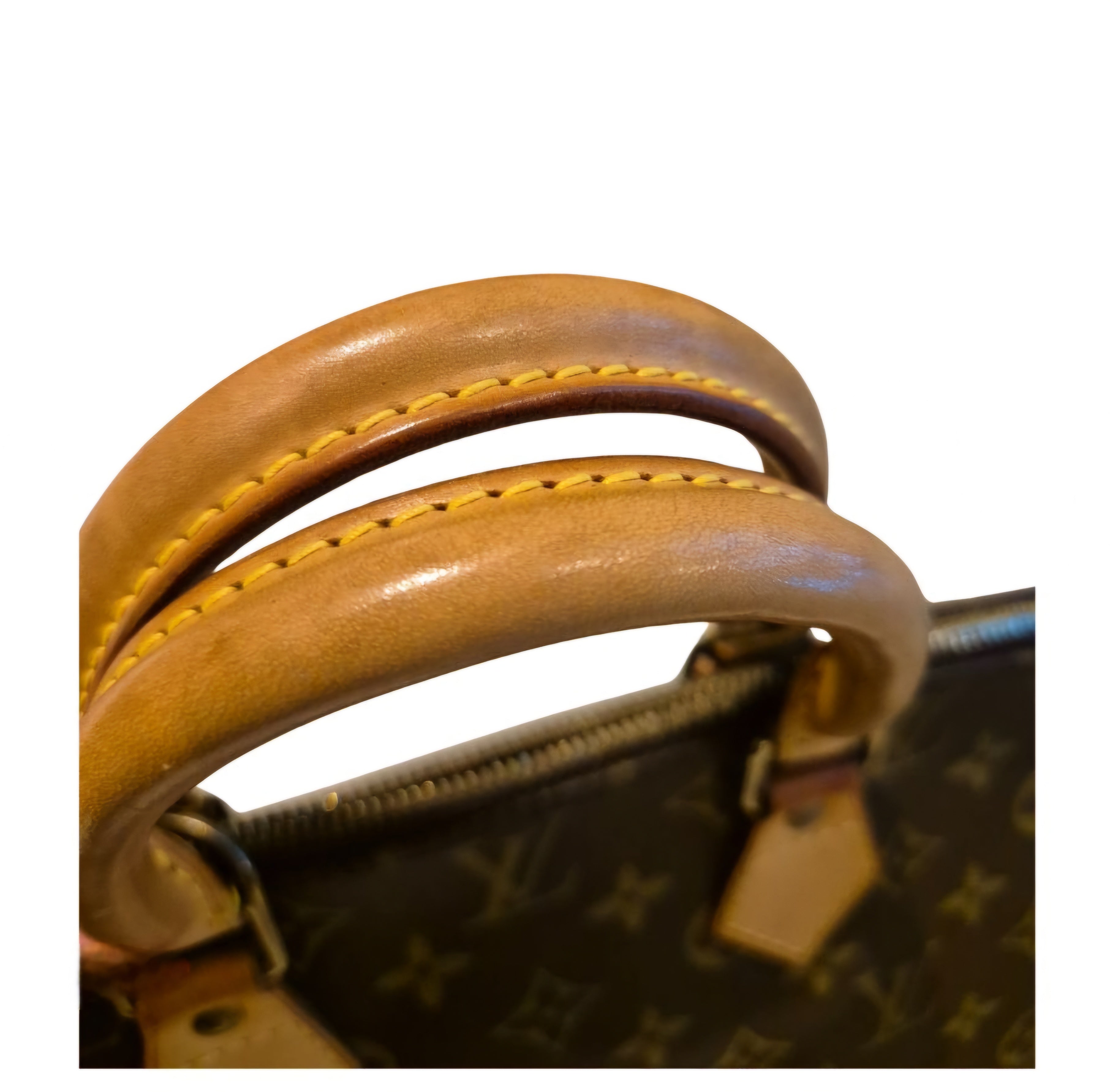 Louis Vuitton Alma PM in monogram leather