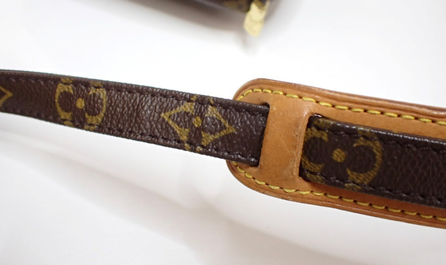 Louis Vuitton Monogram Amazone Crossbody Bag