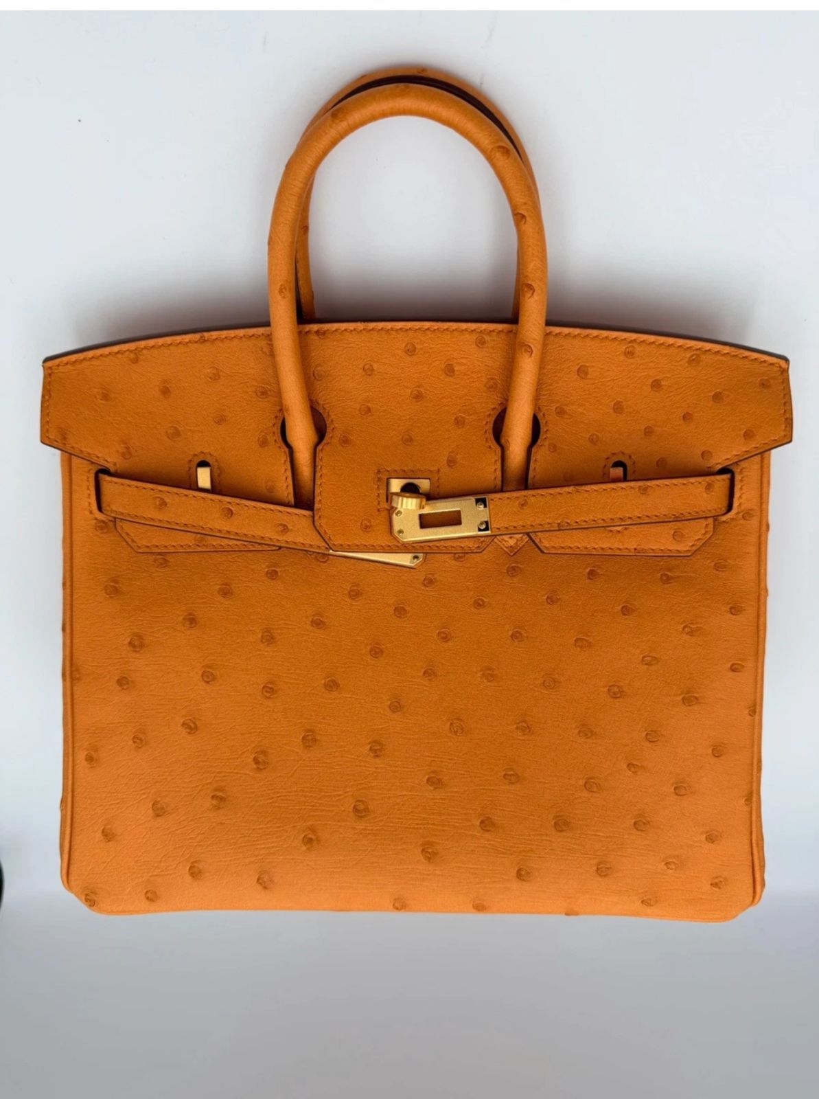 Hermes Birkin 25 in Ostrich Leather with Box, Dust bags, Lock/Keys, Raincoat, and Essential CITES Certificate.
