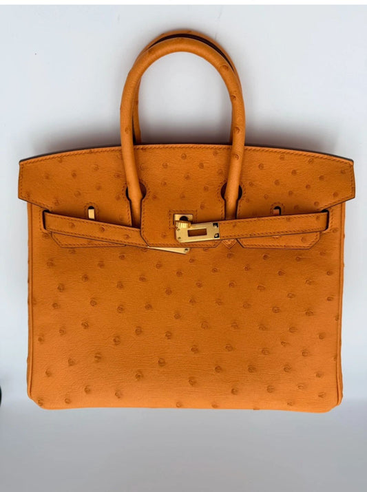 Hermes Birkin 25 in Ostrich Leather with Box, Dust bags, Lock/Keys, Raincoat, and Essential CITES Certificate.