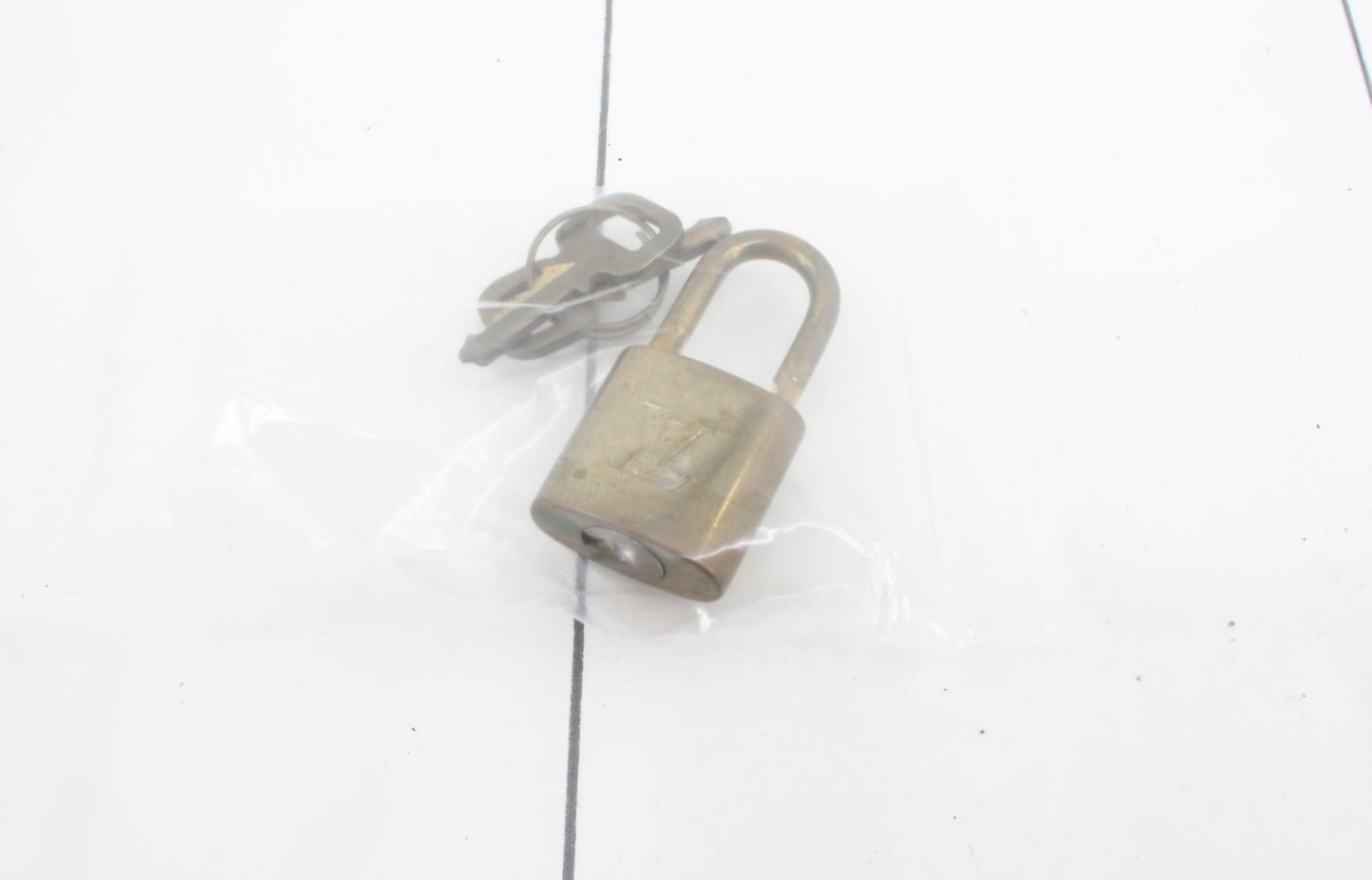 Louis Vuitton Excursion with lock and keys