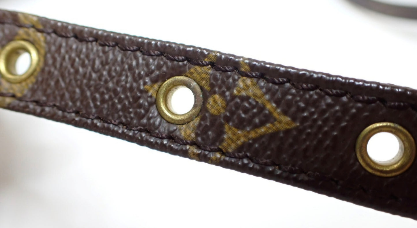 Louis Vuitton Monogram Amazone Crossbody Bag