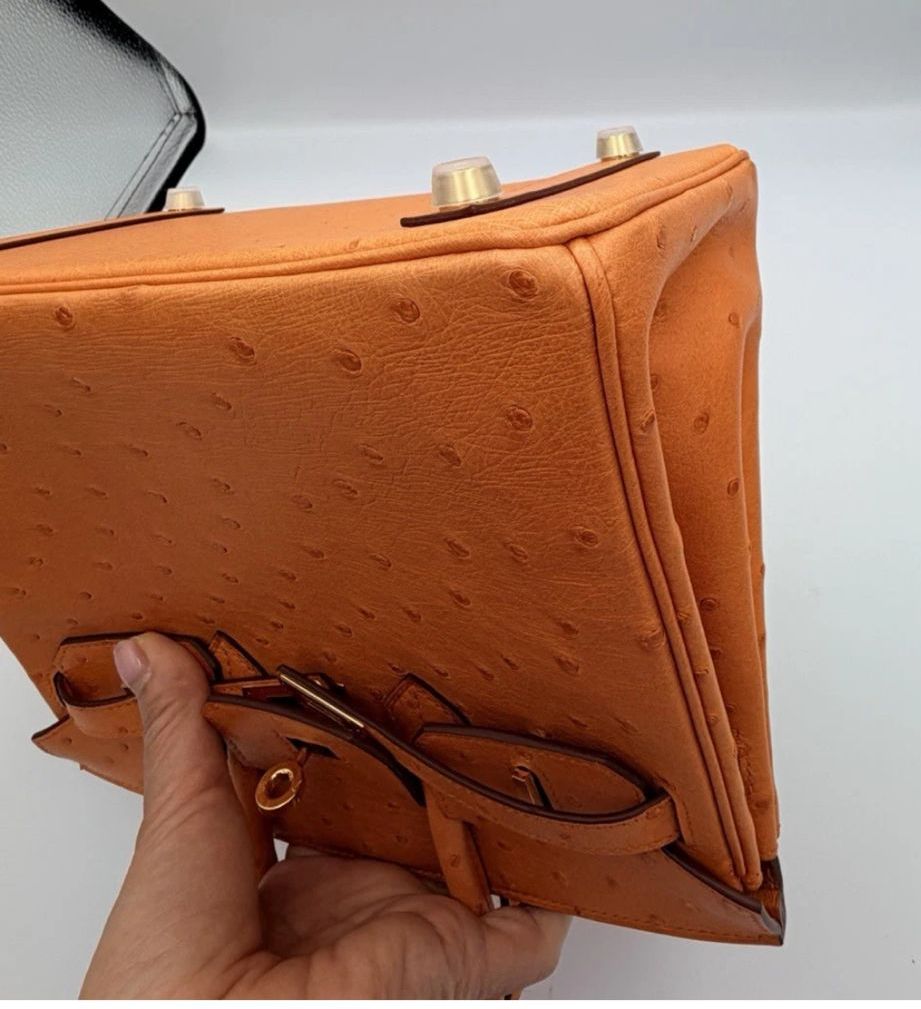 Hermes Birkin 25 in Ostrich Leather with Box, Dust bags, Lock/Keys, Raincoat, and Essential CITES Certificate.
