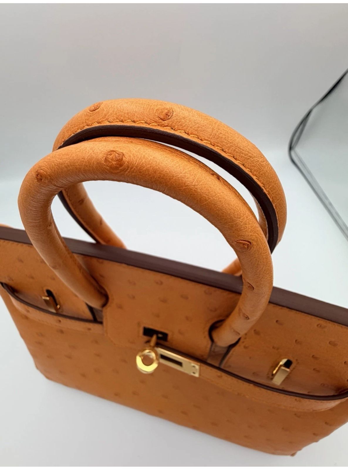 Hermes Birkin 25 in Ostrich Leather with Box, Dust bags, Lock/Keys, Raincoat, and Essential CITES Certificate.